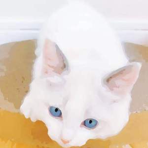 人物畜禽猪电视免费观看
